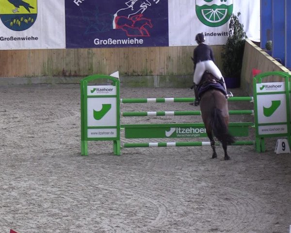 Reitturnier Großenwiehe 2023