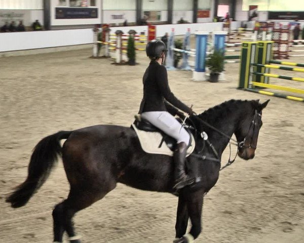 Reitturnier Karlsfeld/Obb. 2021