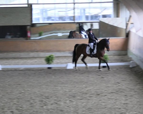 Reitturnier Ratingen 2023