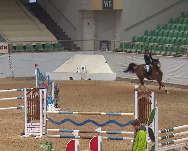 Reitturnier Kreuth 2023