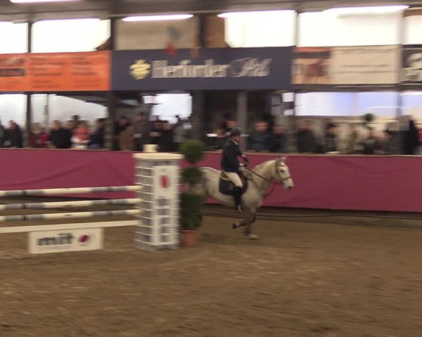 Reitturnier Vlotho-Exter 2023