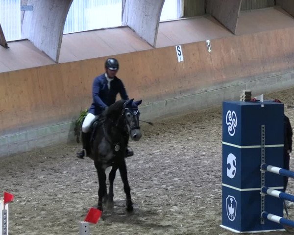 Reitturnier Ratingen 2023