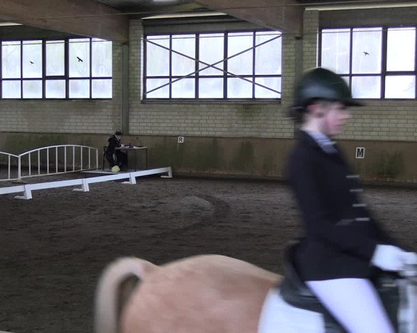 Reitturnier Hildesheim-Marienburg 2023