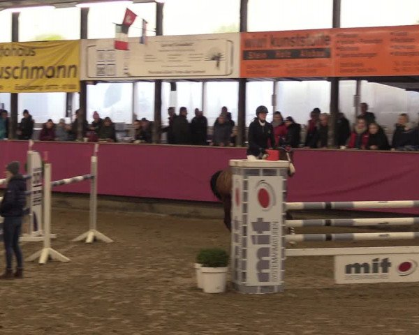 Reitturnier Vlotho-Exter 2023