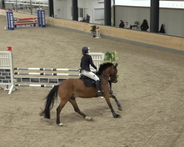Reitturnier Borken 2023