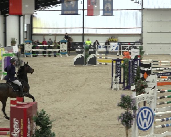 Reitturnier Borken 2023