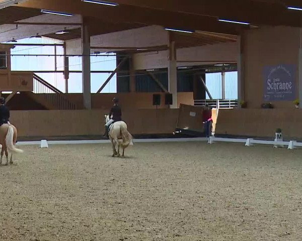 Reitturnier Grafenrheinfeld/Ufr. 2021