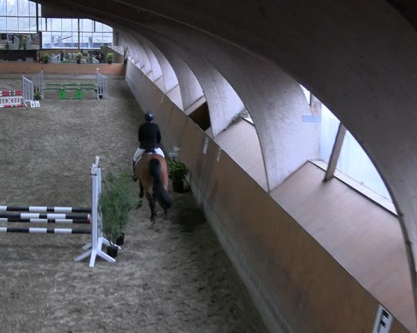 Reitturnier Ratingen 2023