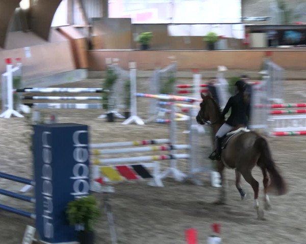 Reitturnier Ratingen 2023