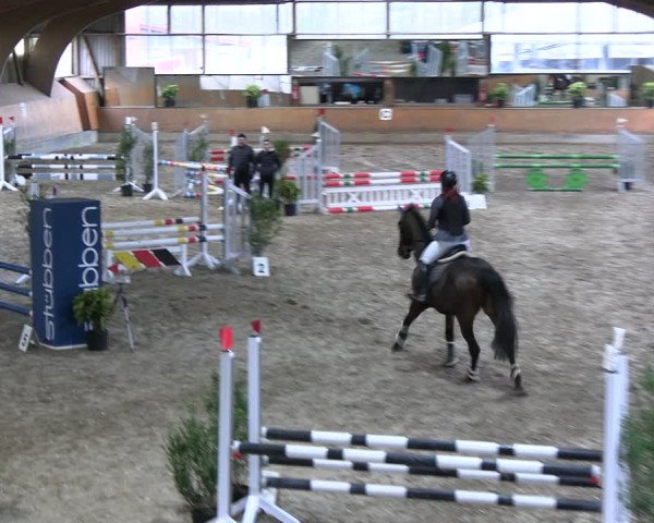 Reitturnier Ratingen 2023