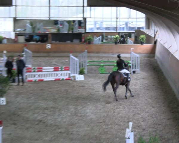 Reitturnier Ratingen 2023