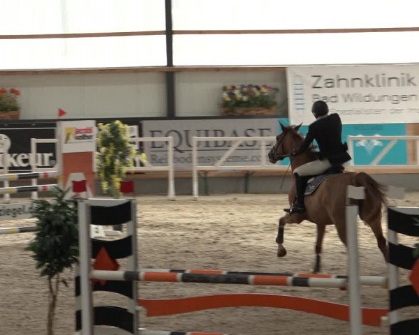 Reitturnier Borken 2023