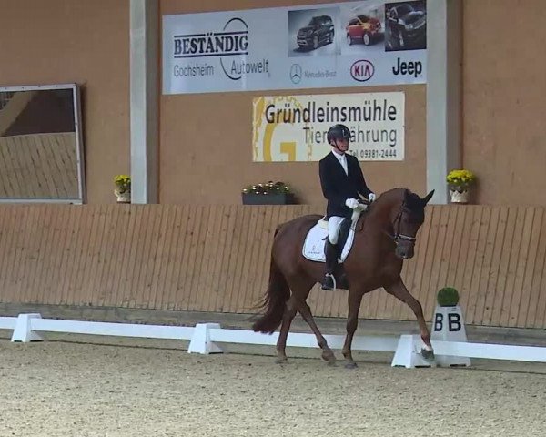 Reitturnier Grafenrheinfeld/Ufr. 2021