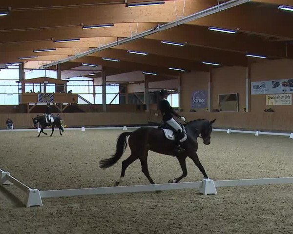 Reitturnier Grafenrheinfeld/Ufr. 2021