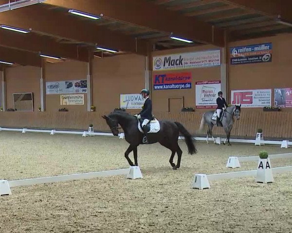 Reitturnier Grafenrheinfeld/Ufr. 2021