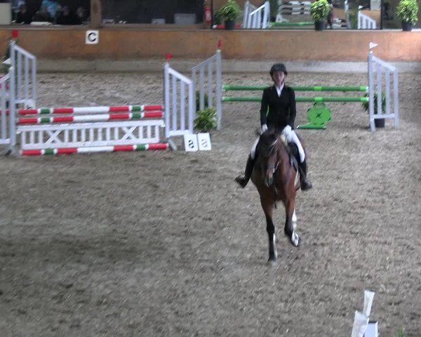 Reitturnier Ratingen 2023
