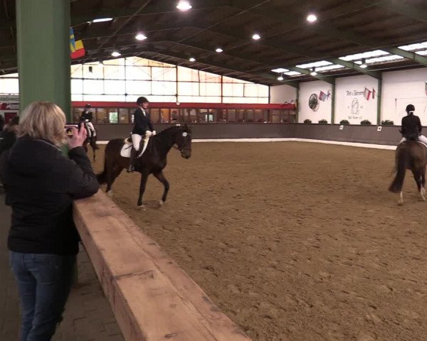 Reitturnier Bad Essen 2021