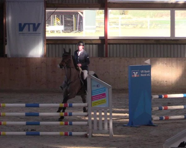 Reitturnier Süderlügum 2023