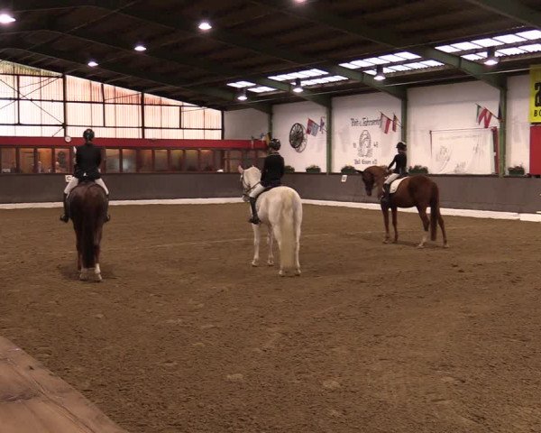 Reitturnier Bad Essen 2021