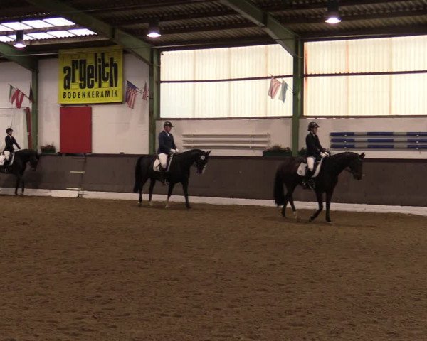 Reitturnier Bad Essen 2021