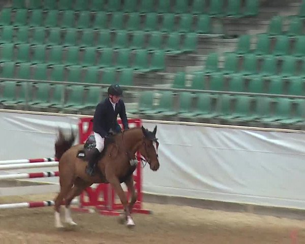 Reitturnier Kreuth 2023