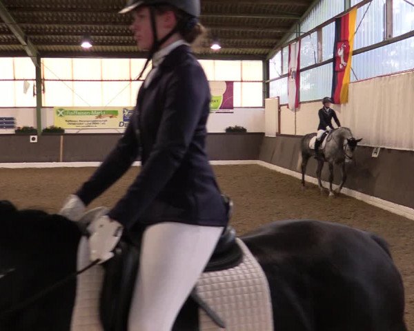 Reitturnier Bad Essen 2021