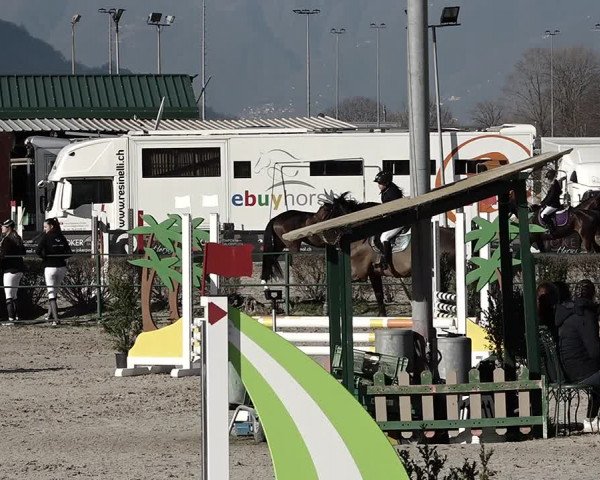 Reitturnier Giubiasco 2023