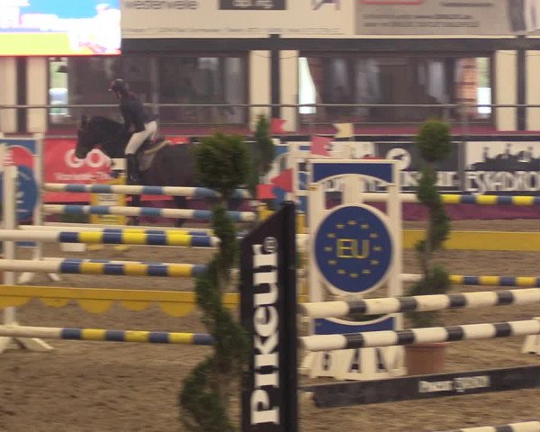 Reitturnier Vlotho-Exter 2023