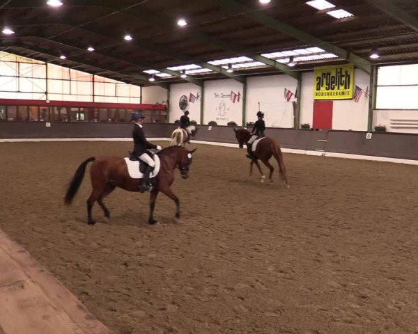 Reitturnier Bad Essen 2021