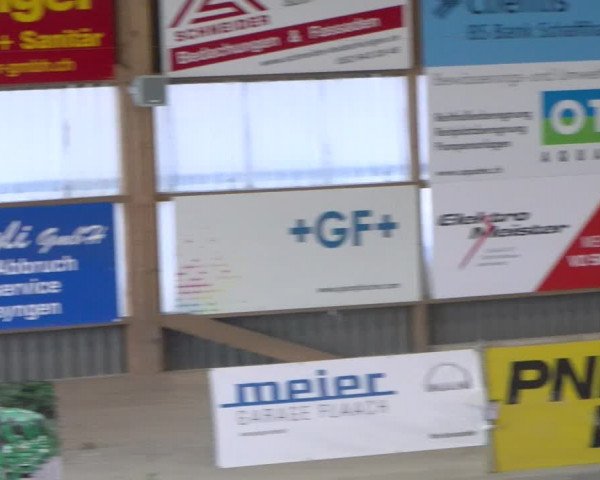 Reitturnier Schaffhausen 2023