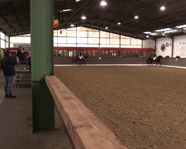 Reitturnier Bad Essen 2021