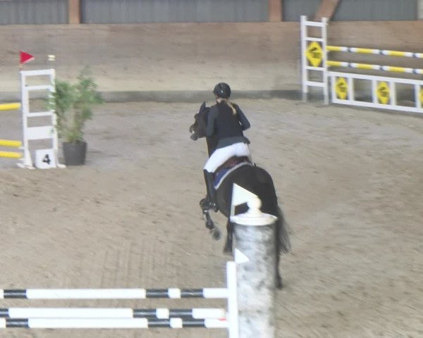 Reitturnier Schaffhausen 2023