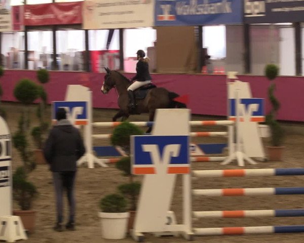Reitturnier Vlotho-Exter 2023