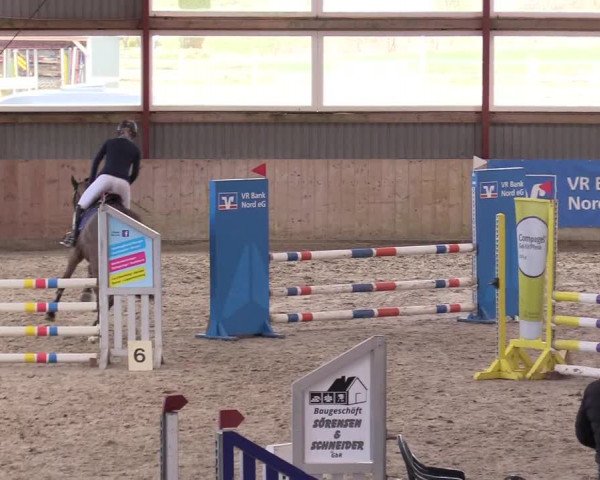 Reitturnier Süderlügum 2023