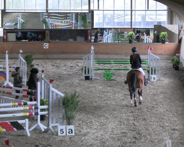 Reitturnier Ratingen 2023