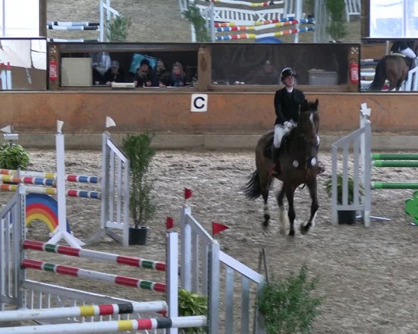 Reitturnier Ratingen 2023