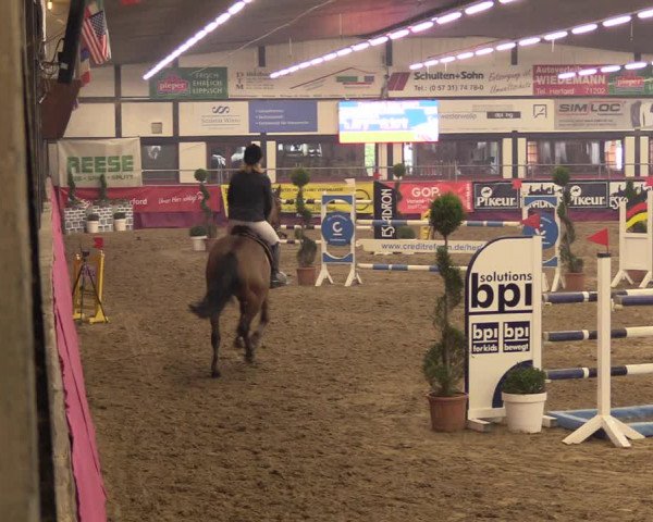 Reitturnier Vlotho-Exter 2023