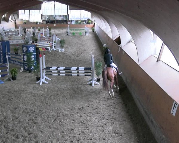 Reitturnier Ratingen 2023