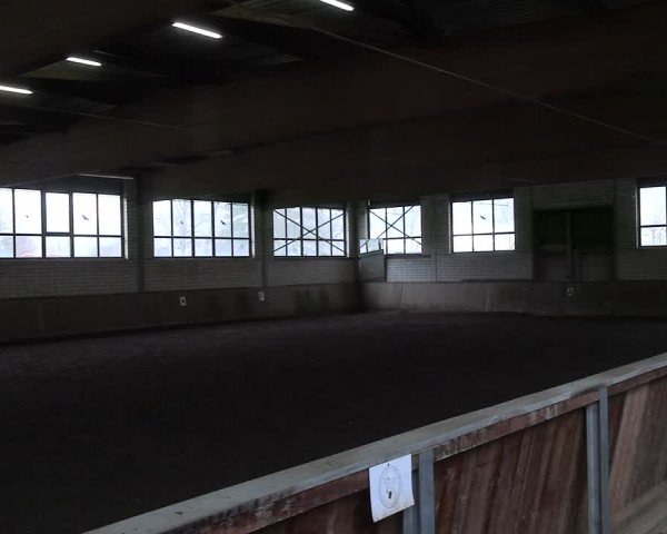 Reitturnier Hildesheim-Marienburg 2023