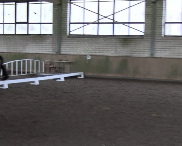Reitturnier Hildesheim-Marienburg 2023