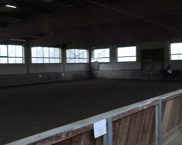 Reitturnier Hildesheim-Marienburg 2023