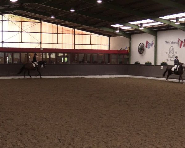 Reitturnier Bad Essen 2021
