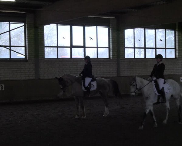 Reitturnier Hildesheim-Marienburg 2023