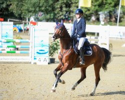 jumper Coopi´Lou (Westphalian, 2014, from Cup Cooper)