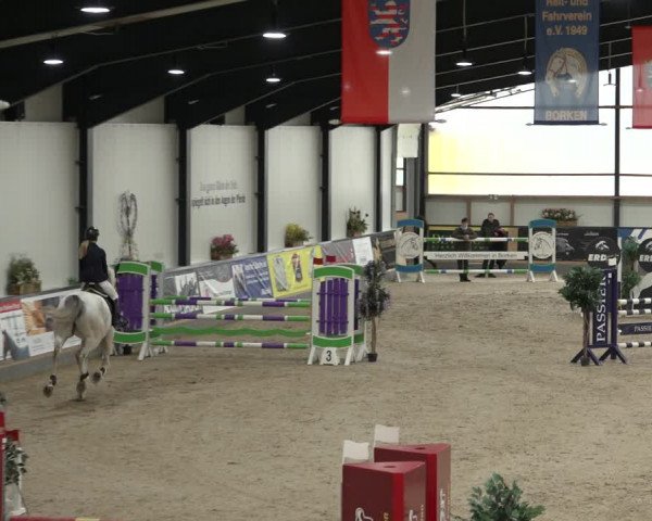 Reitturnier Borken 2023