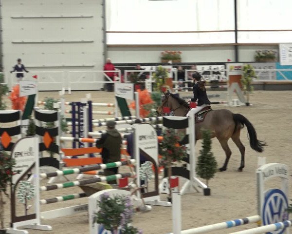 Reitturnier Borken 2023