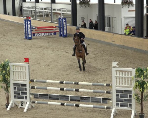 Reitturnier Borken 2023