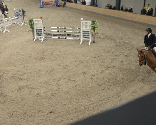 Reitturnier Borken 2023