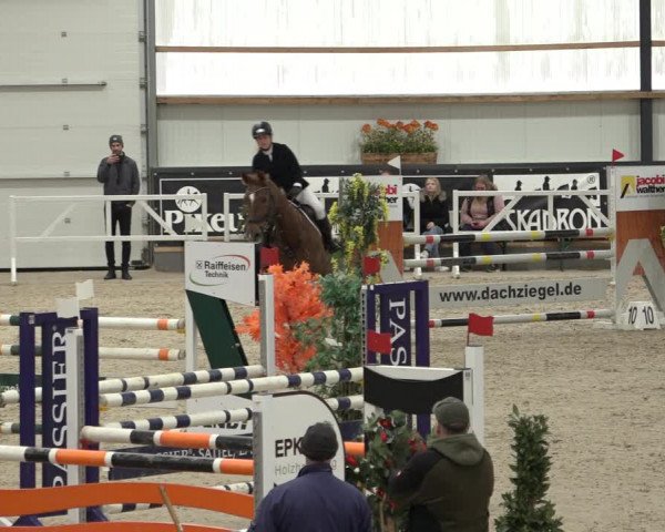 Reitturnier Borken 2023