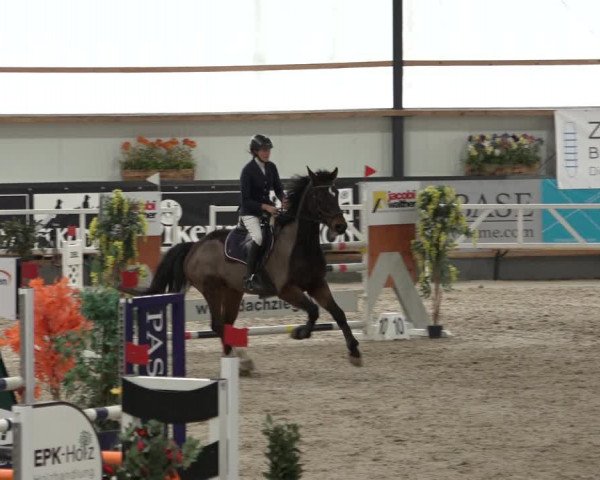 Reitturnier Borken 2023